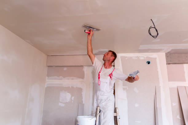 Best Ceiling Drywall Installation  in Flemington, NJ